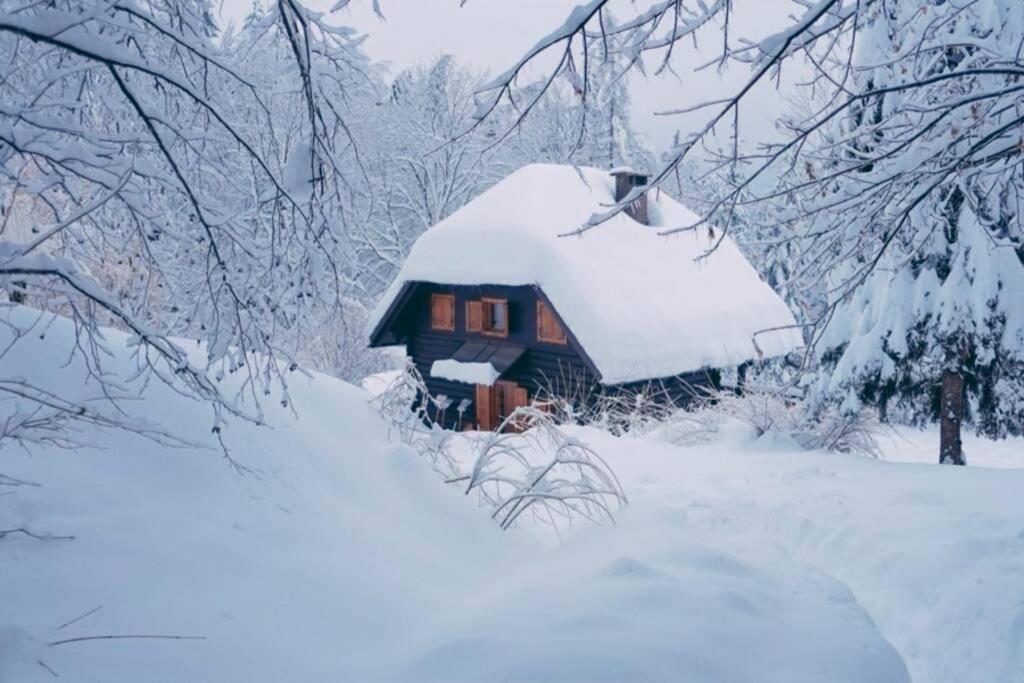 Cottage In The Woods - Lake בוהין מראה חיצוני תמונה
